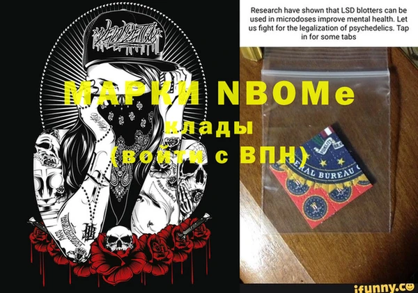 шишки Пересвет