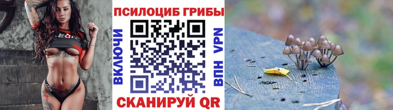 Псилоцибиновые грибы Cubensis Болгар